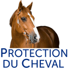 La Protection du Cheval